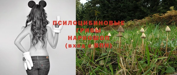 тгк Лагань