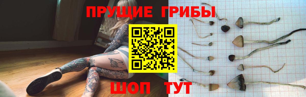 Галлюциногенные грибы Cubensis Петрозаводск